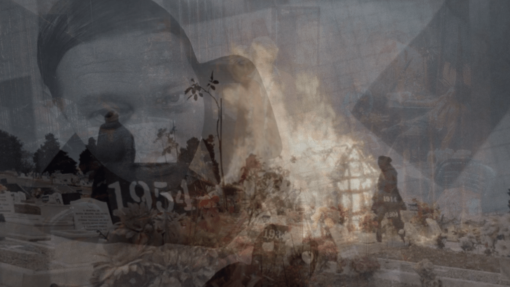 [Février 2025] DVD, Blu-Ray, Blu-Ray 4K UHD : La sélection Kino&nbsp;Wombat