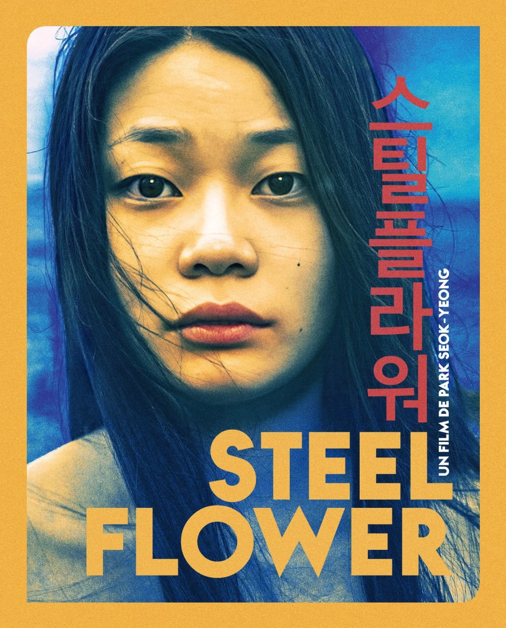 &laquo;&nbsp;Steel Flower&nbsp;&raquo; réalisé par Park Seok-Yeong : Critique et Test&nbsp;Blu-Ray