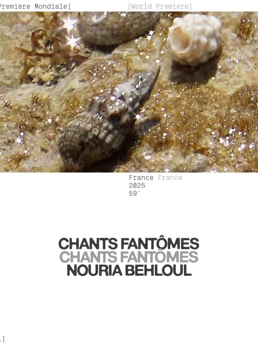 «&nbsp;Chants Fantômes&nbsp;» réalisé par Nouria Behloul :&nbsp;Critique