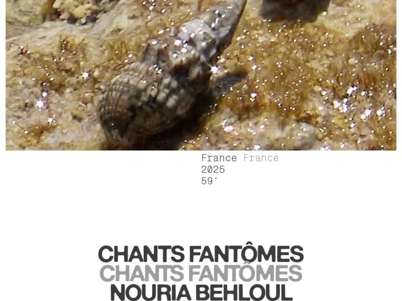 «&nbsp;Chants Fantômes&nbsp;» réalisé par Nouria Behloul :&nbsp;Critique