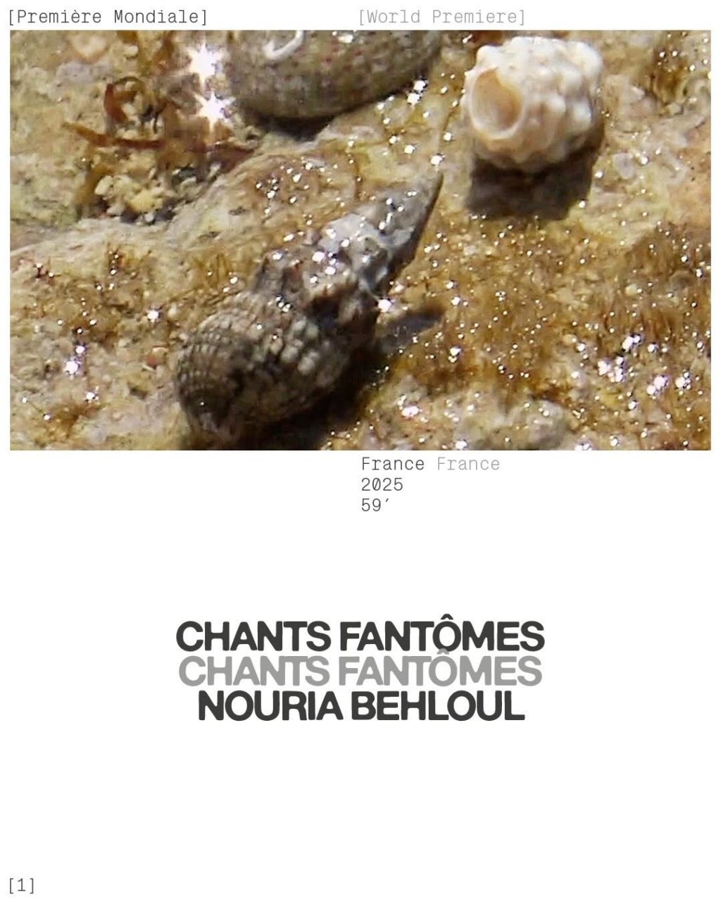 «&nbsp;Chants Fantômes&nbsp;» réalisé par Nouria Behloul :&nbsp;Critique