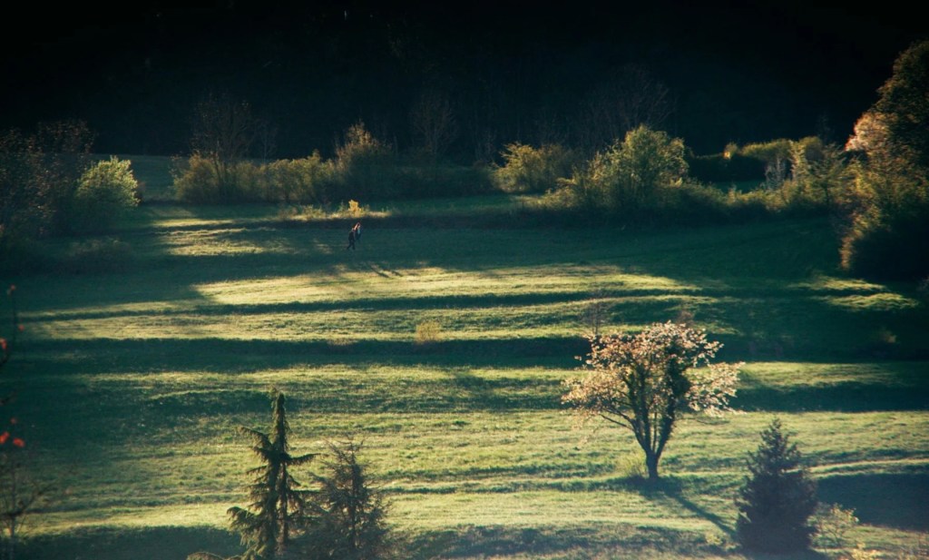 Un paysage verdoyant avec des ombres créées par les arbres au coucher du soleil, un homme marchant sur un terrain herbeux.